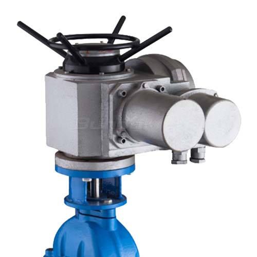 Electric Gate Valve2